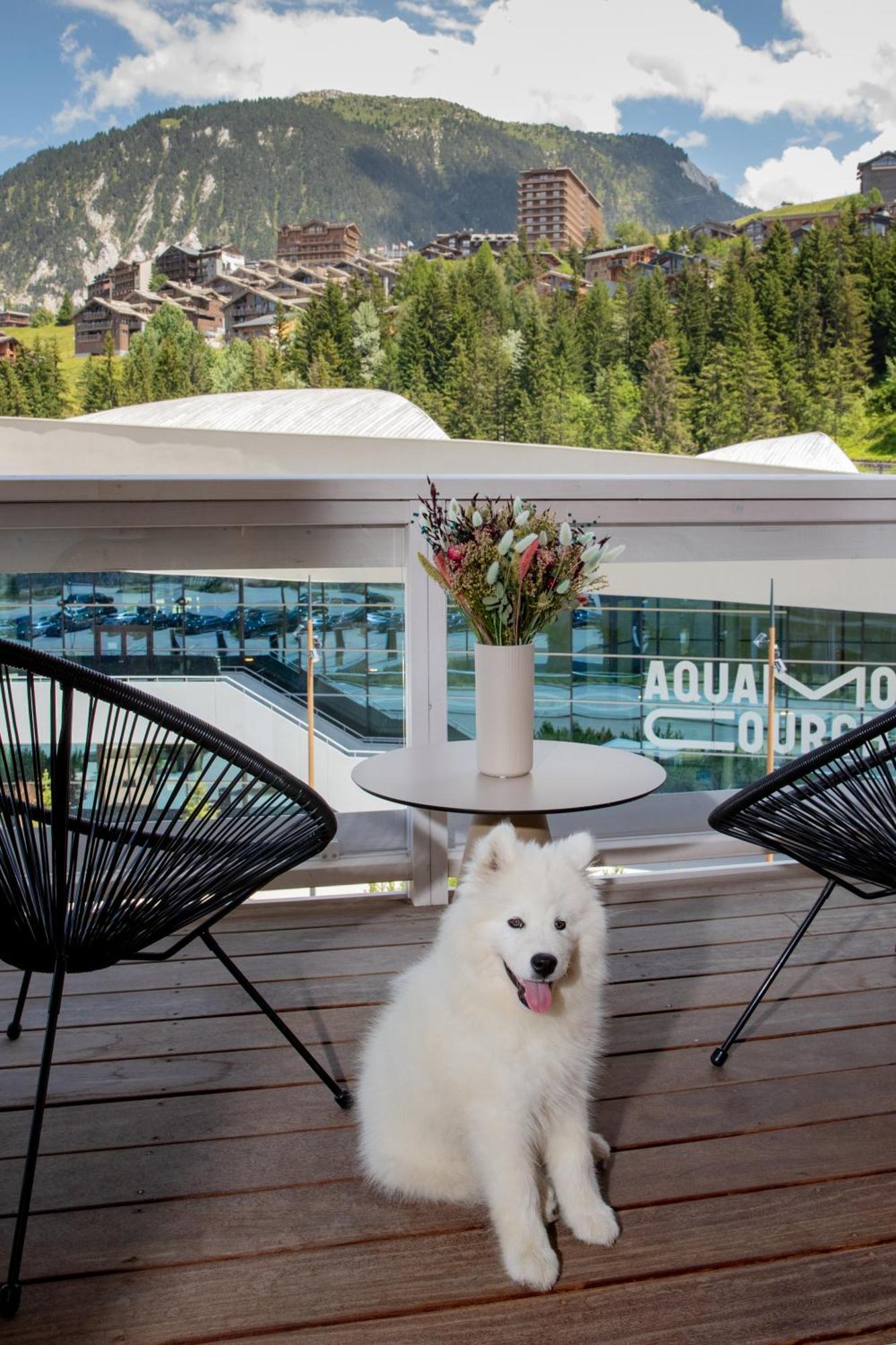 Cocoon Room High Tea dec-april Aquapark access,1285078795:JPEG